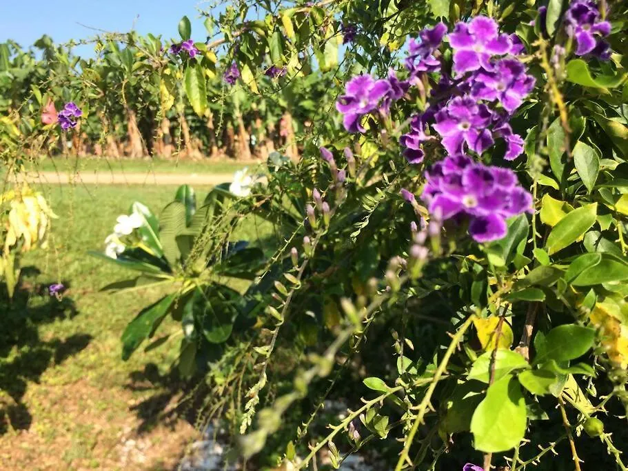 Mission Beach Rural Escape Australien
